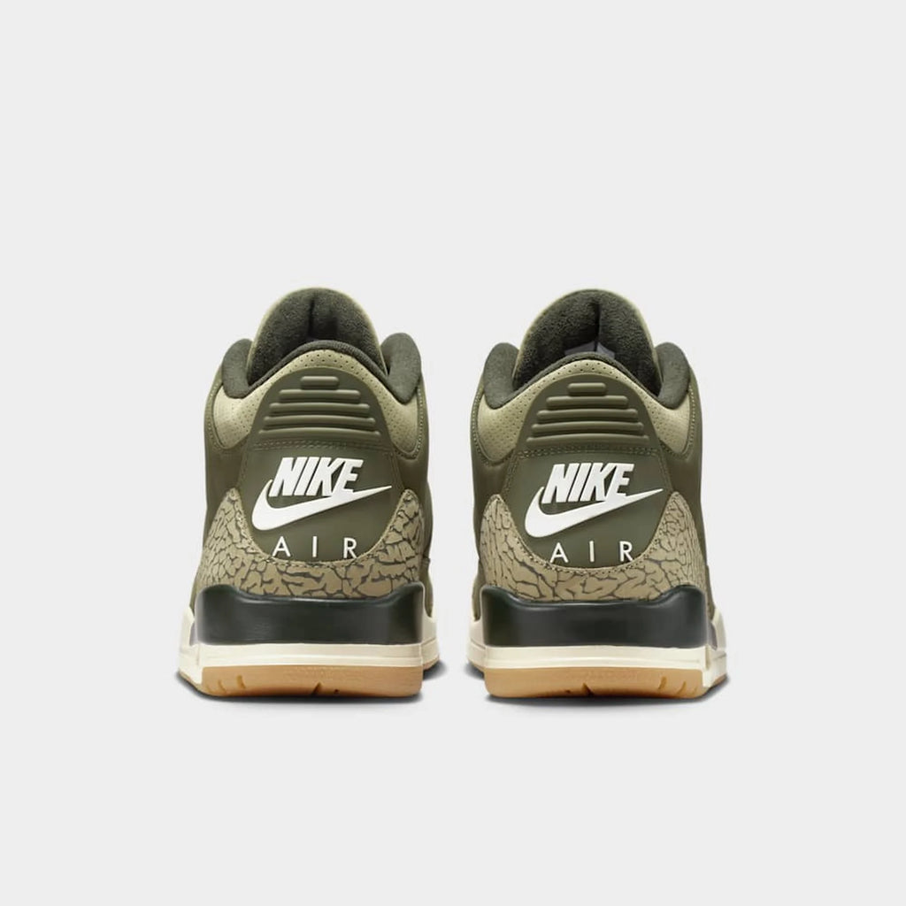 Jordan 3  Retro Varon  Family Affair
