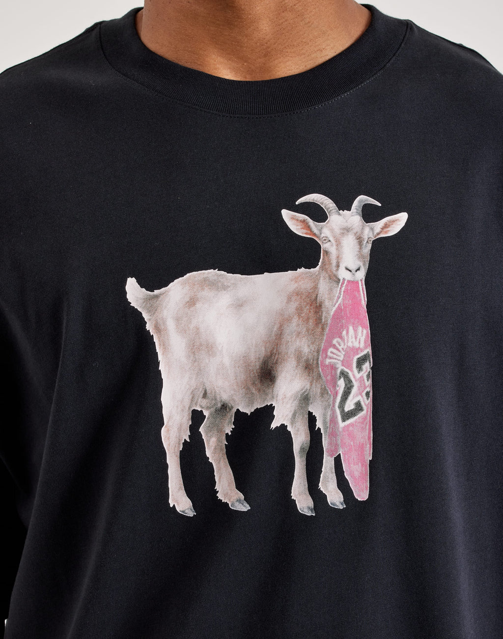 Jordan GOAT Tee