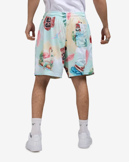 Jordan Essentials Men's Printed Mesh Shorts