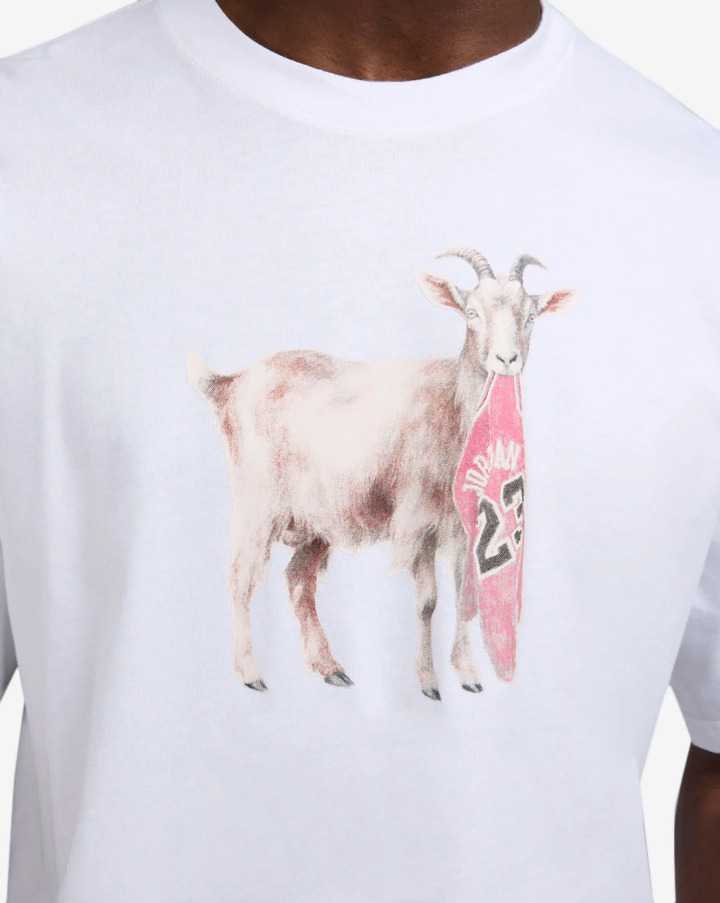Jordan Goat Tee