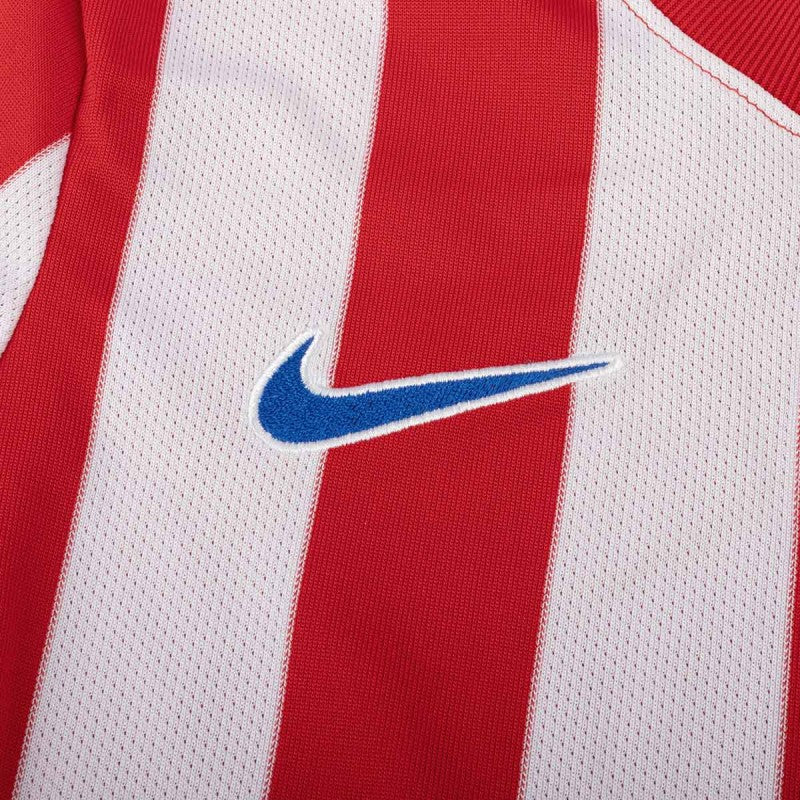 Nike Camiseta fútbol