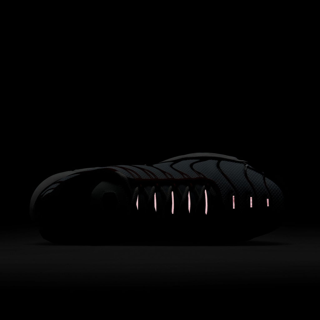 Nike Air Max Plus